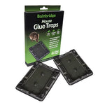 MOUSE GLUE TRAP - 4 PACK